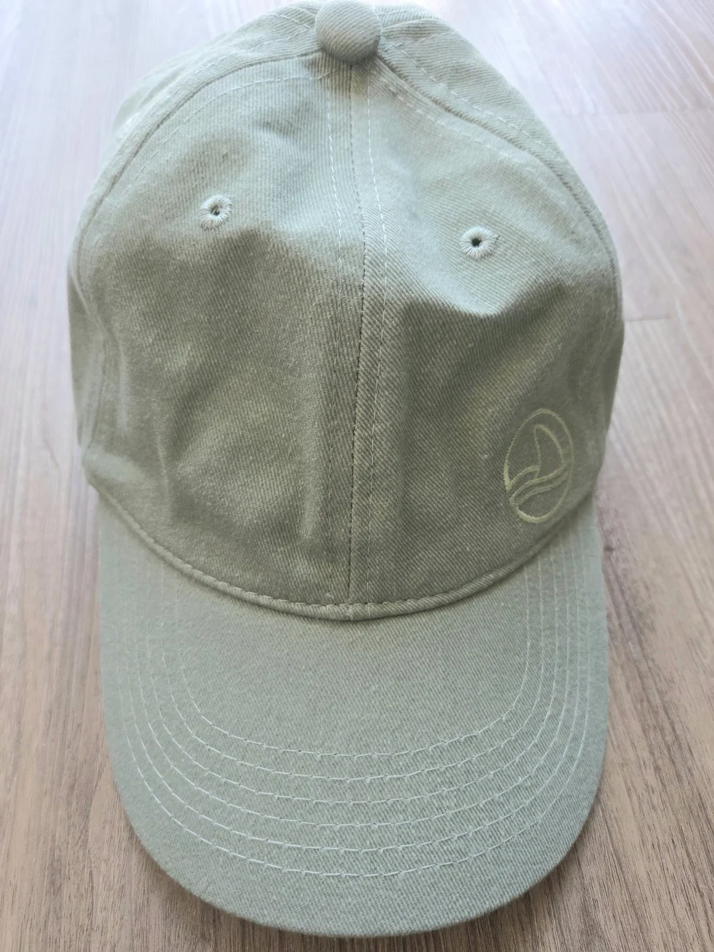 NWOT Caps: Arey Not Today Charcoal Gray & Biossance Sage Green Dad Hats Lot of 2